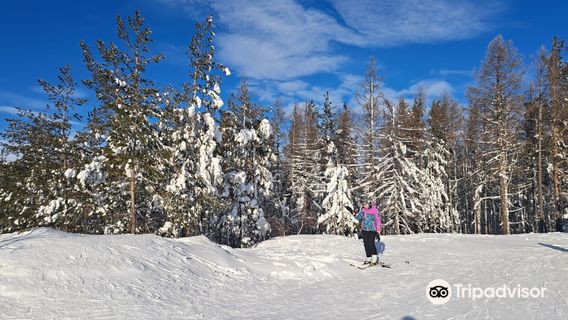 Nekhoroshevskiy