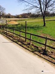 Burley Manor Riding Stables