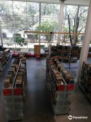 Biblioteca Publica Piloto