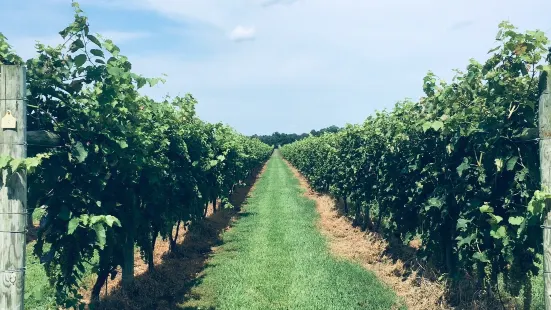 Crow Vineyard & Winery