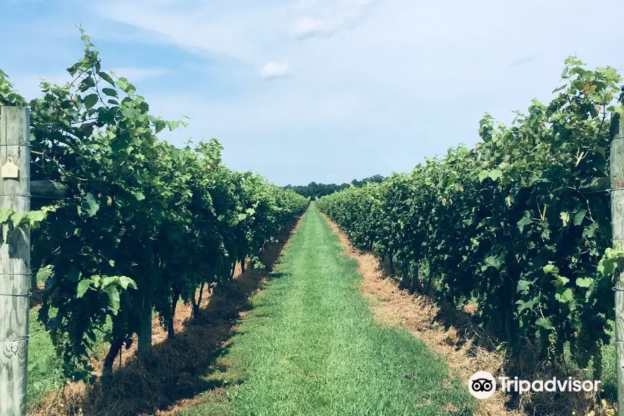 Crow Vineyard & Winery