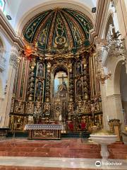 Église collégiale Saint-Patrice