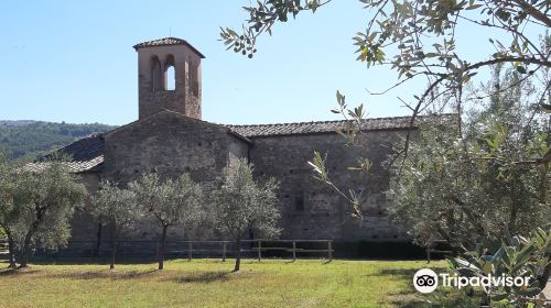 Badia di San Salvatore a Soffena