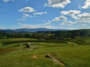 Great Valley Farm Brewery and Winery