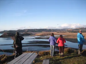 Barrandaimh: Argyll Beaver & Wildlife Visitor Centre