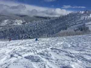 BUMPS FOR BOOMERS ®