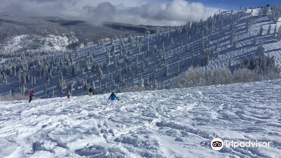 BUMPS FOR BOOMERS ®