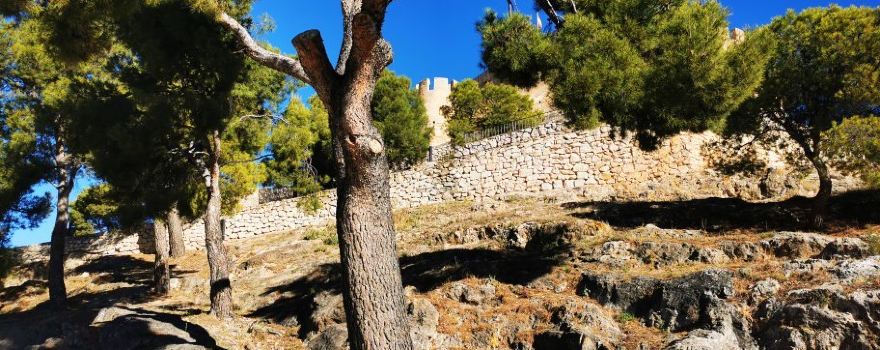 Castle of Biar