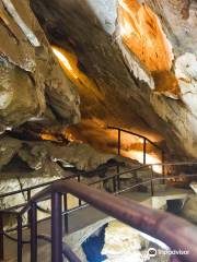 Boyden Cavern Adventures & Tours LLC.