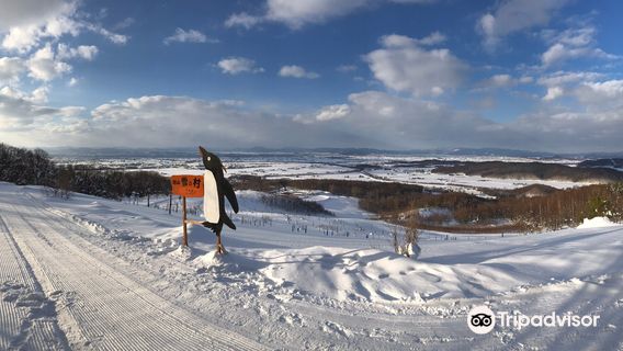 Asahiyama Yuki no Mura