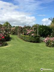 Brindabella Country Gardens Roses