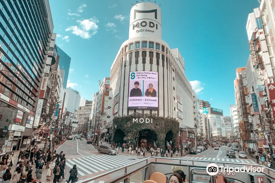 Sky Hop Bus Tokyo