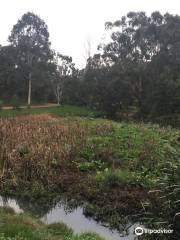 Gardiners Creek Reserve