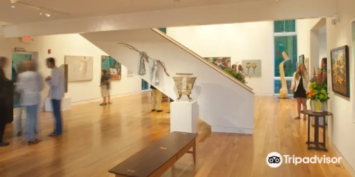 Dedee Shattuck Gallery