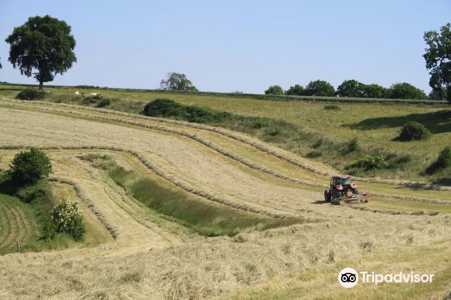 Ferme de Travailles