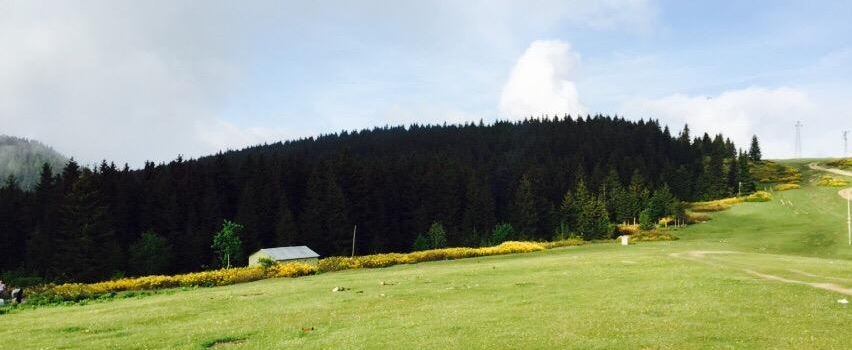Giresun Province