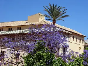 Ducal Palace of Gandia