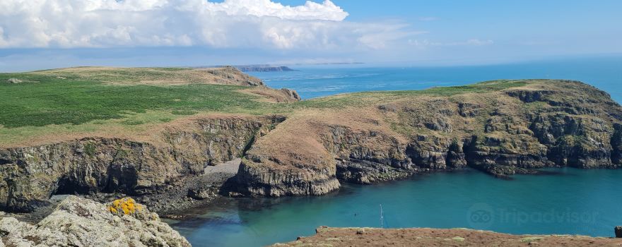 Skomer Island