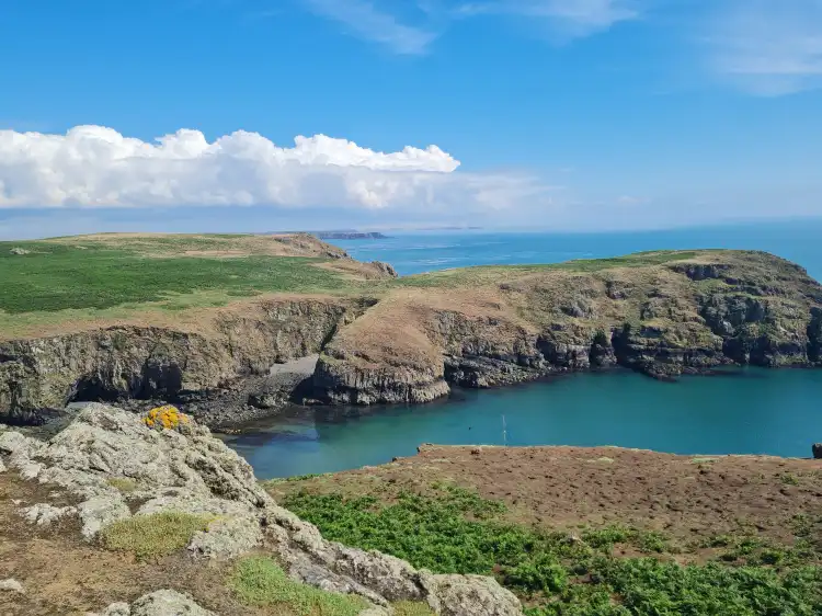 Ξενοδοχεία κοντά στο αξιοθέατο Skomer Island