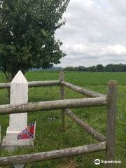 Battle of Cloyd's Mountain - Virginia Historical Marker