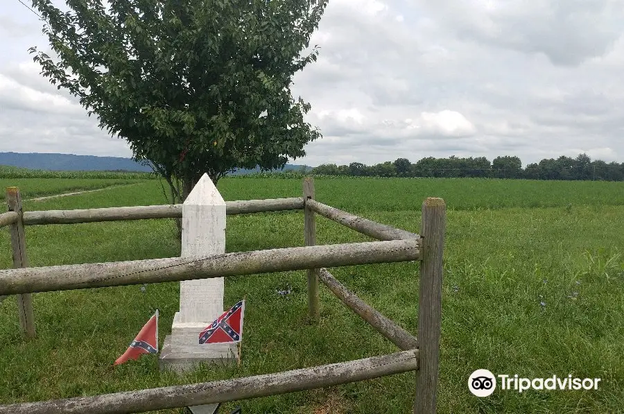 Battle of Cloyd's Mountain - Virginia Historical Marker