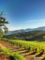 Fattoria Le Fonti