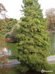 Parque de Isabel La Católica