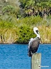 Palm Bay Regional Park