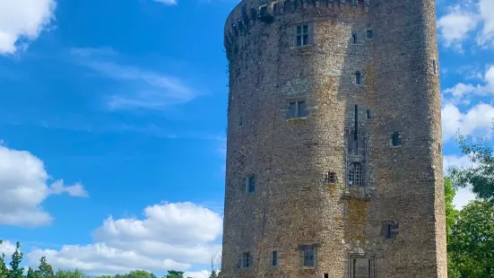 Château de Grand-Fougeray