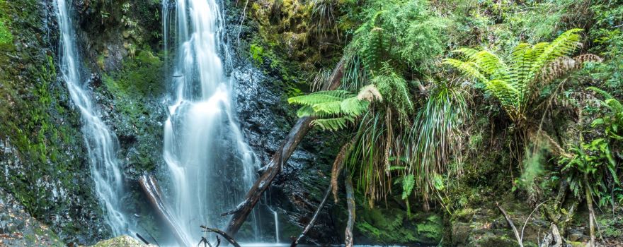 Hogarth Falls Track