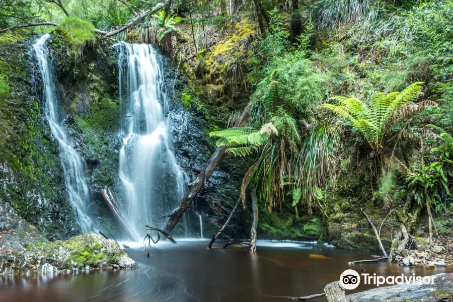 Hogarth Falls Track