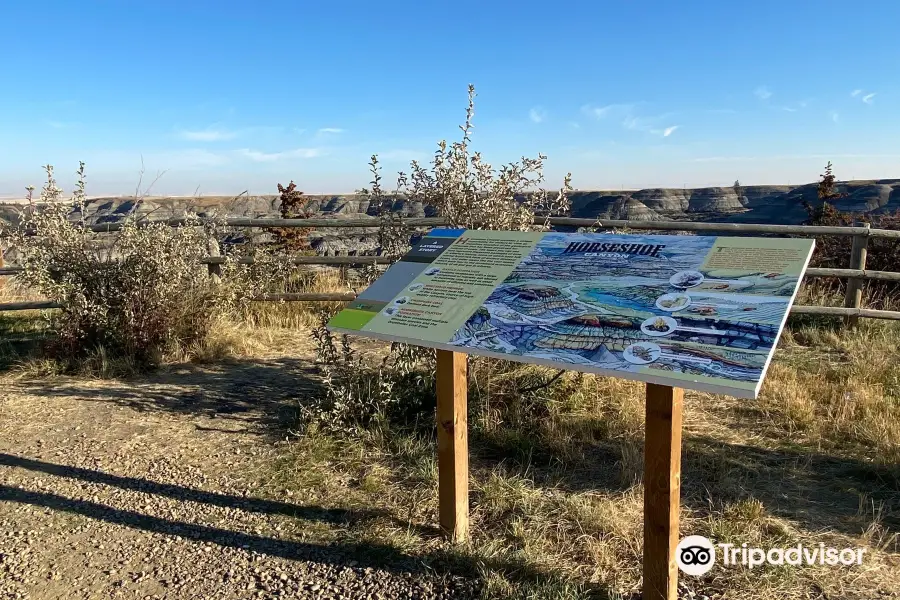 Horseshoe Canyon