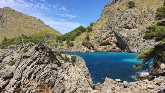 Torrent de Pareis