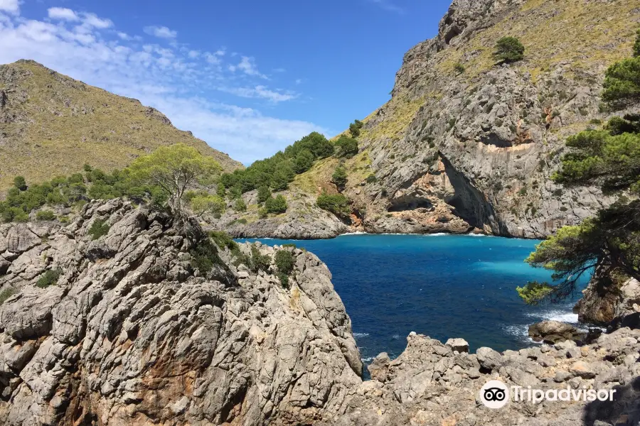 Torrent de Pareis