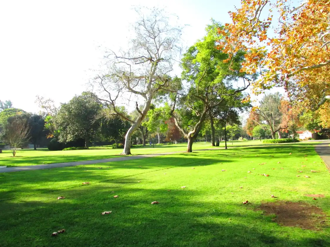홈비 공원 주변 호텔