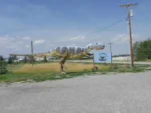 The Montana Dinosaur Center