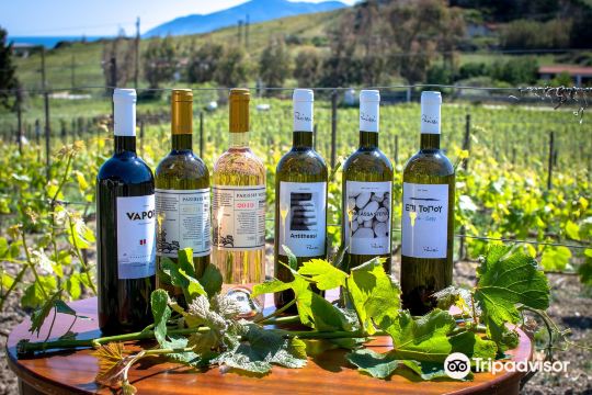 Parissis Winery