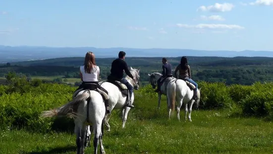 Caballos La Vera