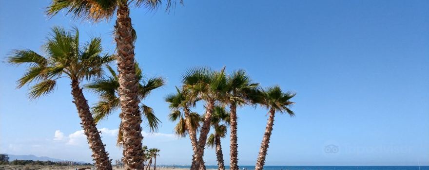 Canet de Berenguer