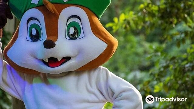 Il bosco delle favole