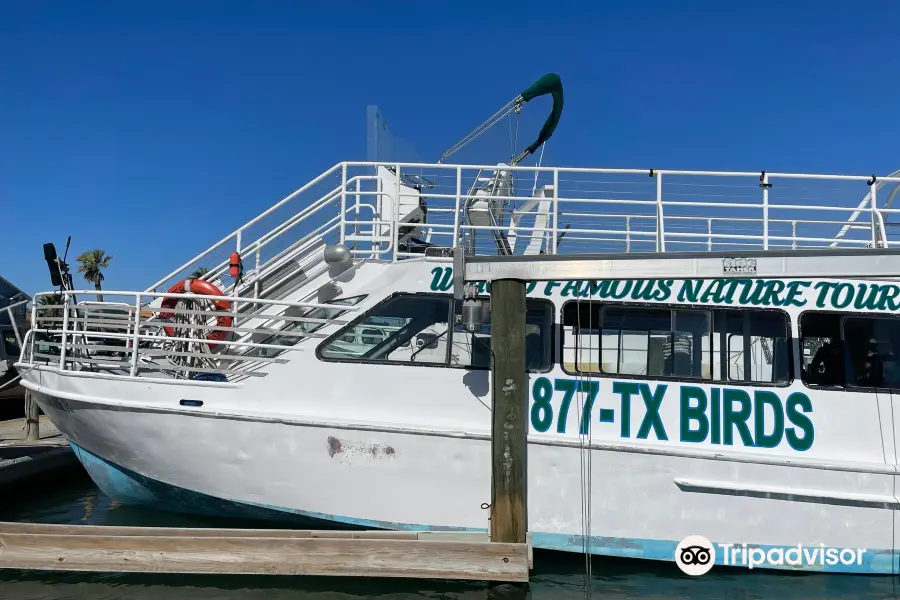 Rockport Birding and Kayak Adventures