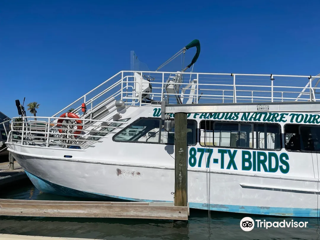 1_Rockport Birding and Kayak Adventures