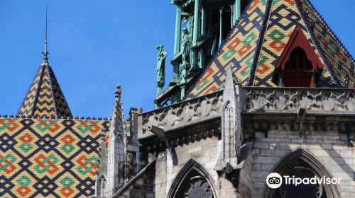 Cathedrale Saint-Benigne de Dijon