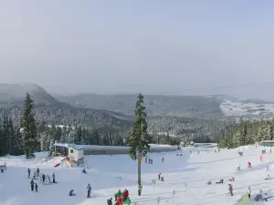 Mount Washington Skiing Alpine Resort