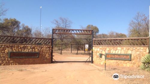 De Wildt Shingwedzi Cheetah Ranch