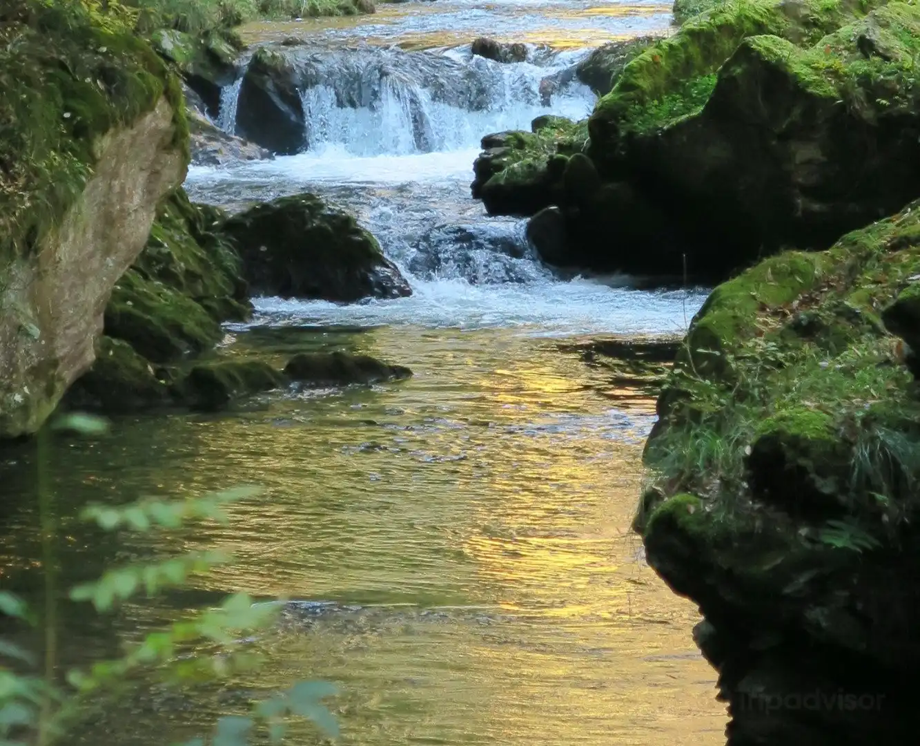 鄰近荒俁峽的酒店