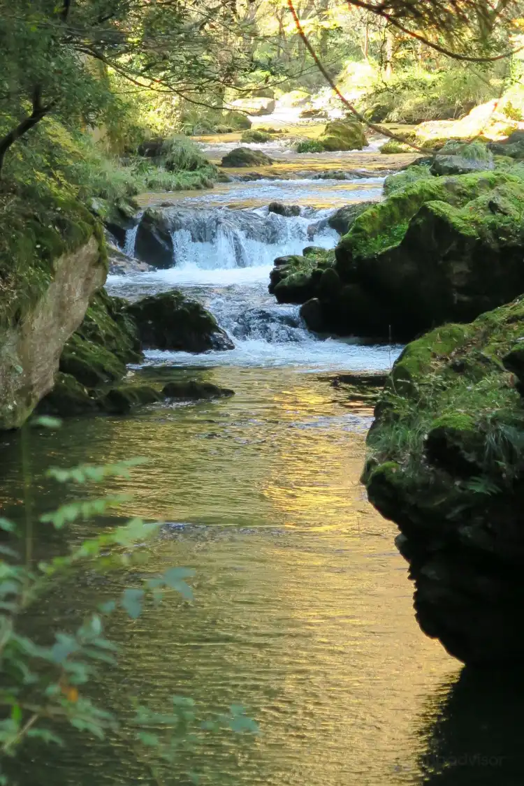 Hotels near Aratama Valley