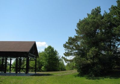 Peterborough Museum & Archives