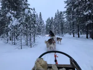 Wild Spirit Park