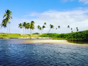 Barra Do Jacuipe Beach